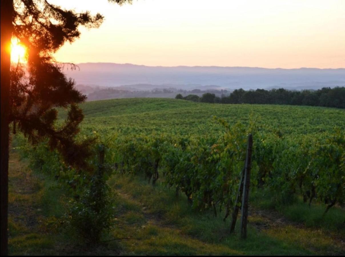 Agriturismo Fattoria Il Piano - Appartamento Focolare - 圣吉米纳诺 外观 照片