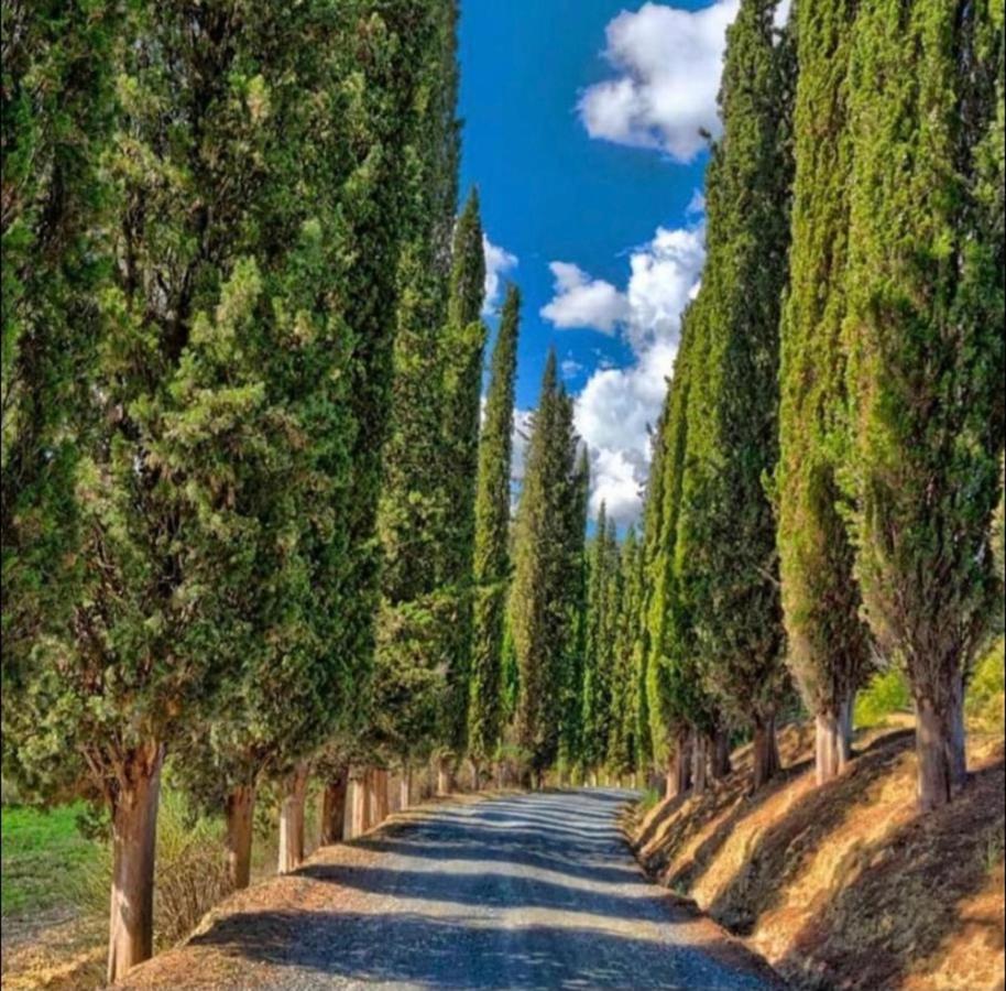 Agriturismo Fattoria Il Piano - Appartamento Focolare - 圣吉米纳诺 外观 照片