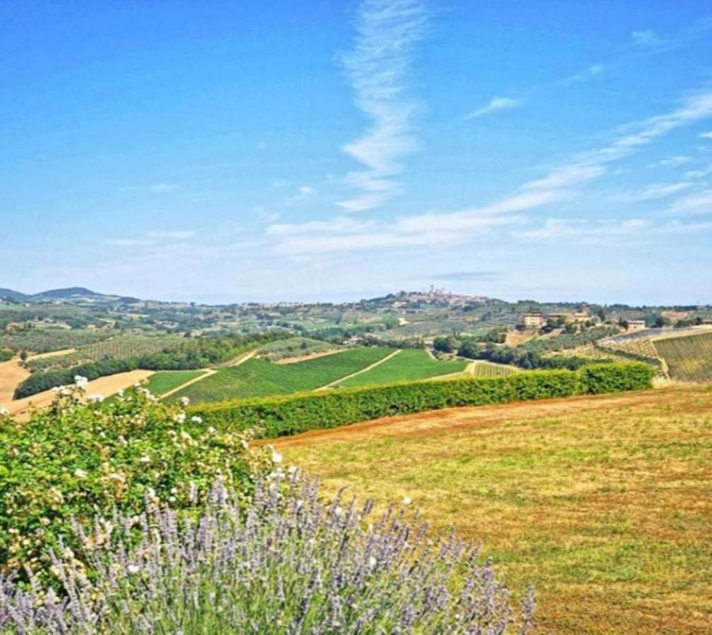 Agriturismo Fattoria Il Piano - Appartamento Focolare - 圣吉米纳诺 外观 照片