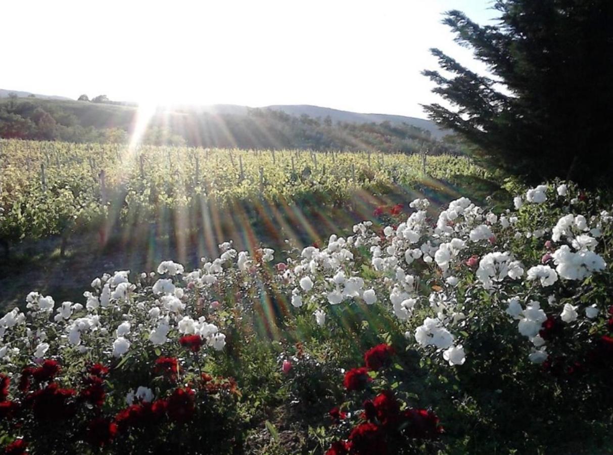 Agriturismo Fattoria Il Piano - Appartamento Focolare - 圣吉米纳诺 外观 照片