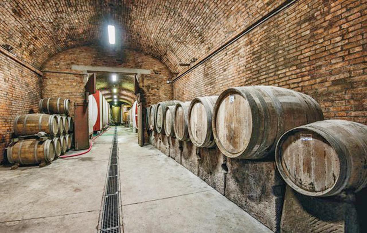 Agriturismo Fattoria Il Piano - Appartamento Focolare - 圣吉米纳诺 外观 照片