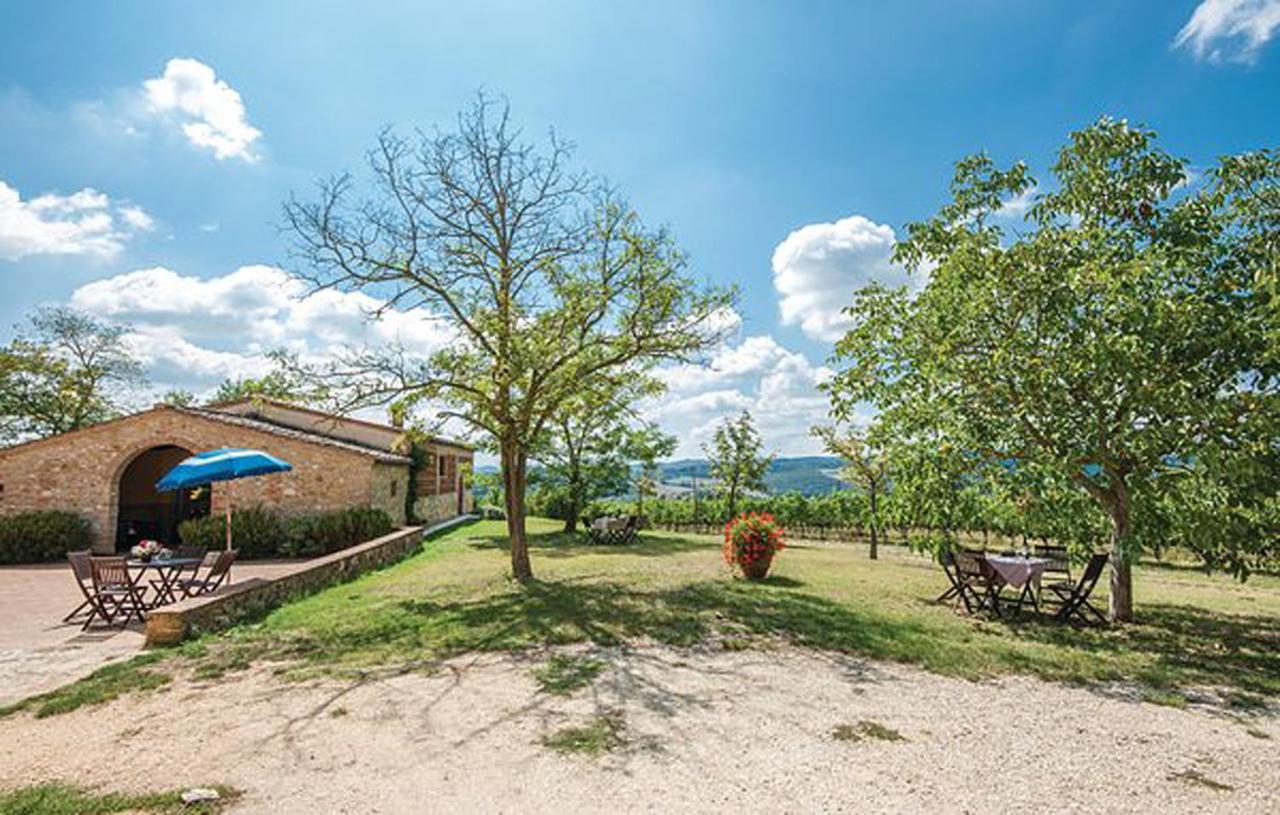 Agriturismo Fattoria Il Piano - Appartamento Focolare - 圣吉米纳诺 外观 照片