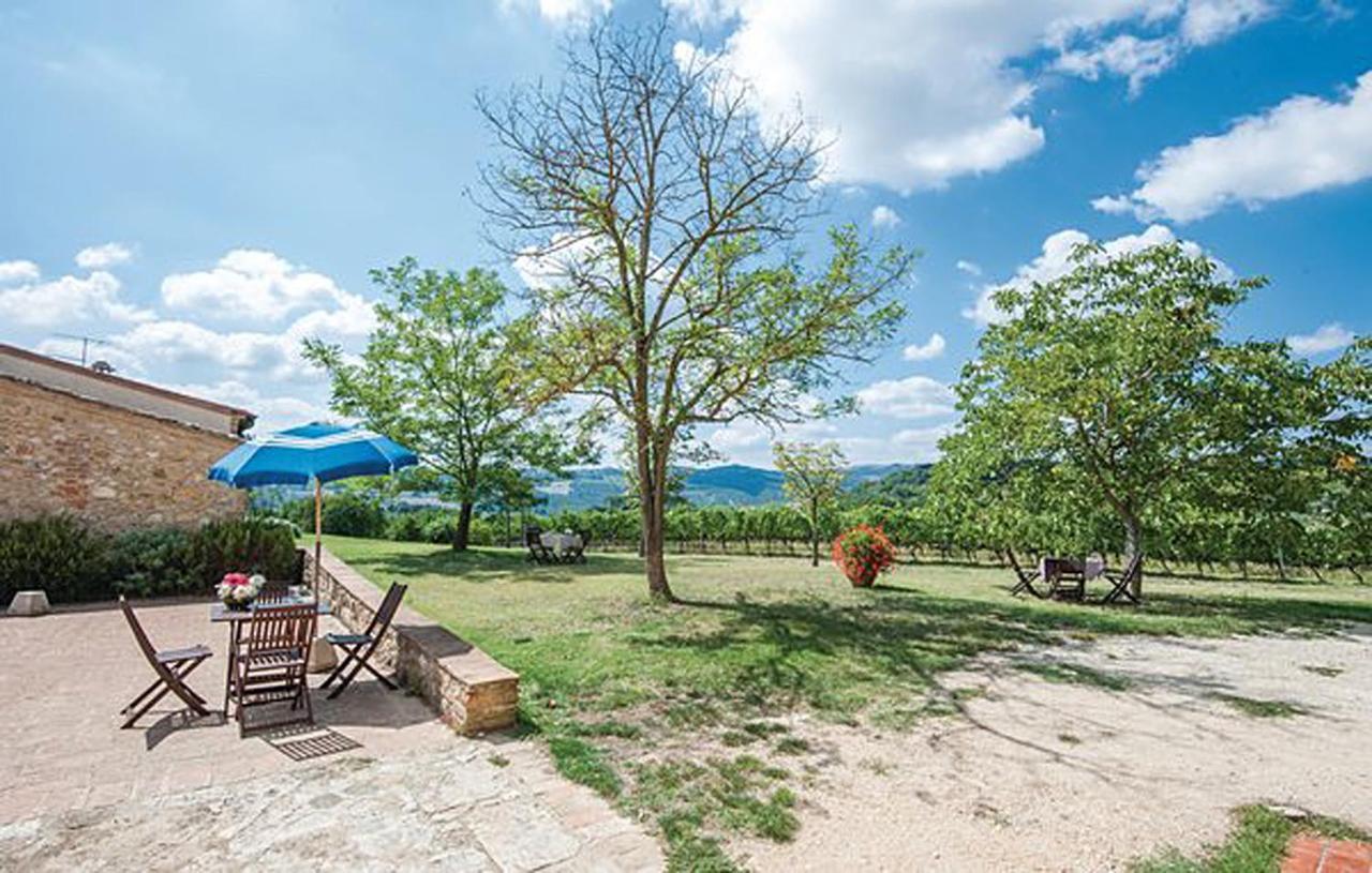 Agriturismo Fattoria Il Piano - Appartamento Focolare - 圣吉米纳诺 外观 照片